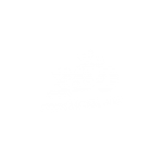 360_white 300x300px-01